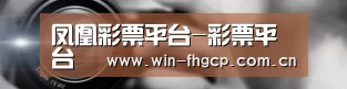 公司动态