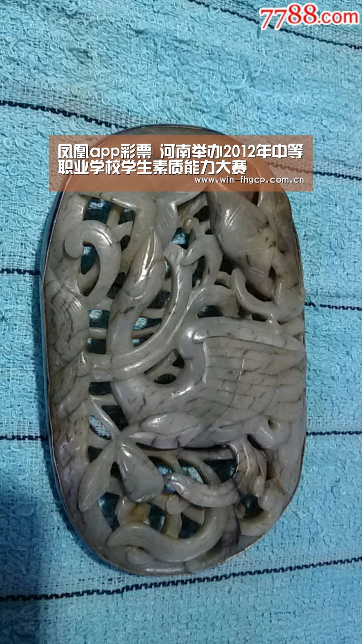 凤凰app彩票_河南举办2012年中等职业学校学生素质能力大赛(图2) 凤凰app彩票